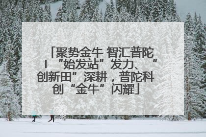 聚势金牛 智汇普陀〡“始发站”发力、“创新田”深耕，普陀科创“金牛”闪耀