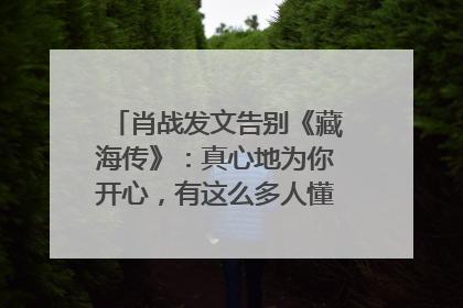 肖战发文告别《藏海传》：真心地为你开心，有这么多人懂你，导演回应“是否有第二季”