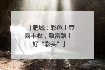 肥城：彩色土豆喜丰收，致富路上好“彩头”