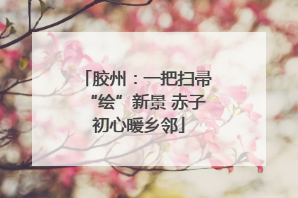 胶州：一把扫帚“绘”新景 赤子初心暖乡邻