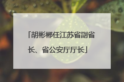 胡彬郴任江苏省副省长、省公安厅厅长