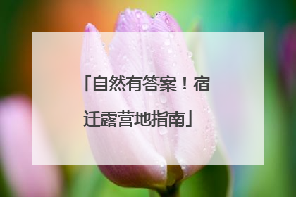 自然有答案！宿迁露营地指南