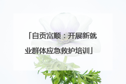 自贡富顺：开展新就业群体应急救护培训