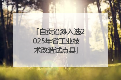 自贡沿滩入选2025年省工业技术改造试点县