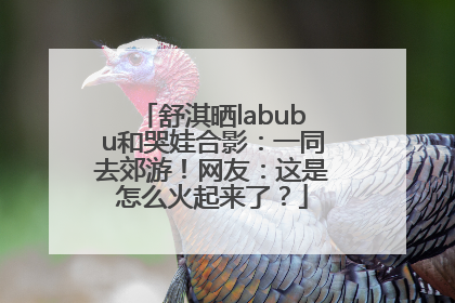 舒淇晒labubu和哭娃合影：一同去郊游！网友：这是怎么火起来了？