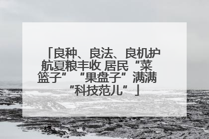 良种、良法、良机护航夏粮丰收 居民“菜篮子”“果盘子”满满“科技范儿”