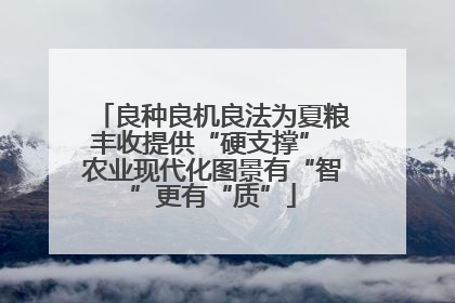 良种良机良法为夏粮丰收提供“硬支撑” 农业现代化图景有“智”更有“质”