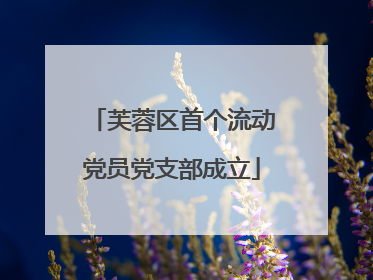 芙蓉区首个流动党员党支部成立