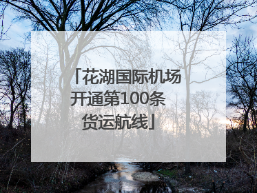 花湖国际机场开通第100条货运航线