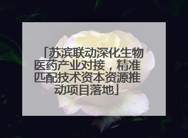 苏滨联动深化生物医药产业对接，精准匹配技术资本资源推动项目落地