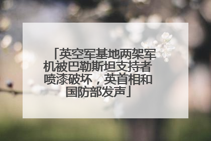 英空军基地两架军机被巴勒斯坦支持者喷漆破坏，英首相和国防部发声