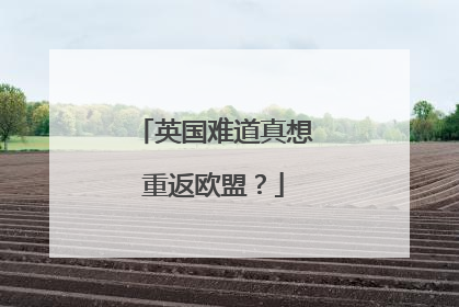 英国难道真想重返欧盟？