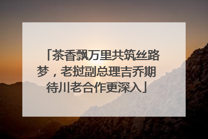 茶香飘万里共筑丝路梦，老挝副总理吉乔期待川老合作更深入