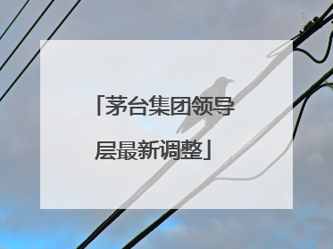 茅台集团领导层最新调整