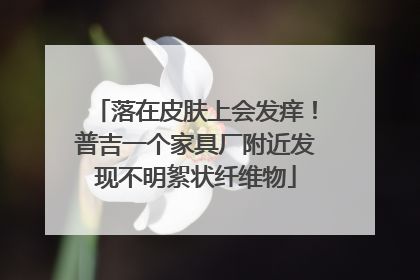 落在皮肤上会发痒！普吉一个家具厂附近发现不明絮状纤维物