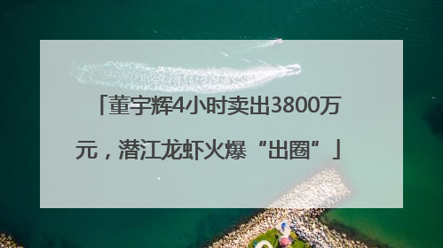 董宇辉4小时卖出3800万元，潜江龙虾火爆“出圈”