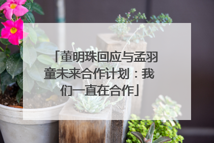 董明珠回应与孟羽童未来合作计划：我们一直在合作
