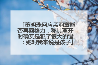 董明珠回应孟羽童能否再回格力，称其离开时确实是犯了很大的错：她对我来说是孩子