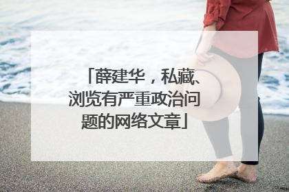 薛建华，私藏、浏览有严重政治问题的网络文章