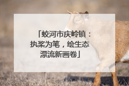 蛟河市庆岭镇：执桨为笔，绘生态漂流新画卷