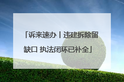 诉来速办丨违建拆除留缺口 执法闭环已补全