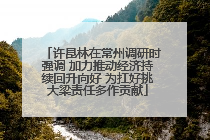 许昆林在常州调研时强调 加力推动经济持续回升向好 为扛好挑大梁责任多作贡献