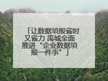 让数据填报省时又省力 禹城全面推进“企业数据填报一件事”