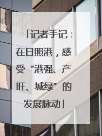 记者手记：在日照港，感受“港强、产旺、城绿”的发展脉动