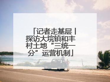 记者走基层丨探访大垸镇和丰村土地“三统一分”运营机制