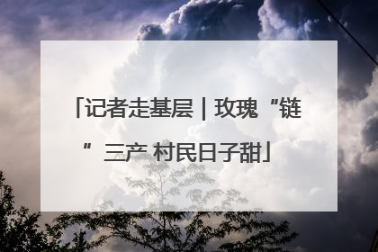 记者走基层｜玫瑰“链”三产 村民日子甜