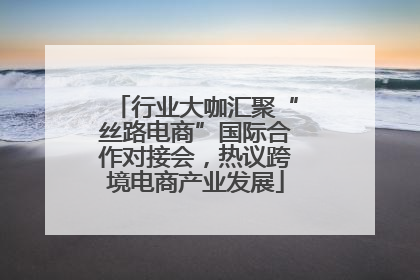 行业大咖汇聚“丝路电商”国际合作对接会，热议跨境电商产业发展