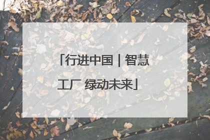行进中国｜智慧工厂 绿动未来