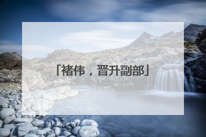 褚伟，晋升副部