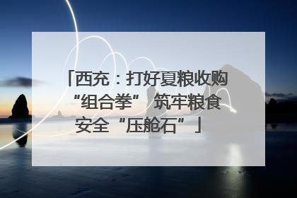 西充：打好夏粮收购“组合拳” 筑牢粮食安全“压舱石”
