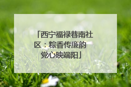 西宁福禄巷南社区：粽香传廉韵 党心映端阳