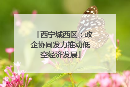 西宁城西区：政企协同发力推动低空经济发展