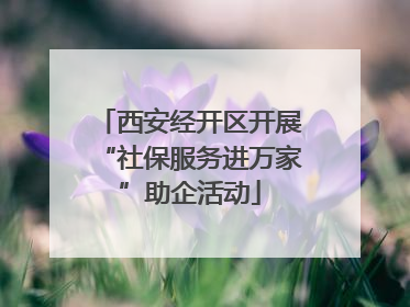 西安经开区开展“社保服务进万家”助企活动