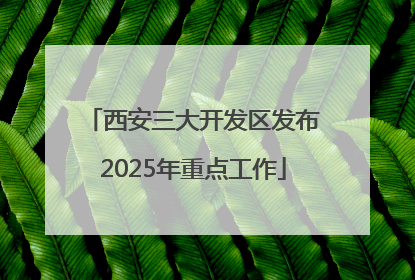 西安三大开发区发布2025年重点工作