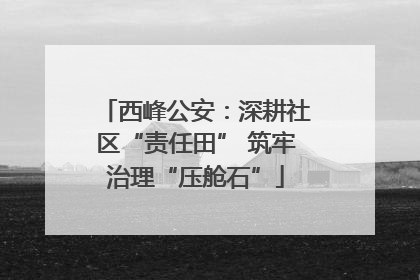 西峰公安：深耕社区“责任田” 筑牢治理“压舱石”