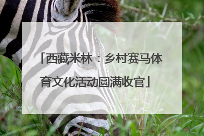 西藏米林：乡村赛马体育文化活动圆满收官