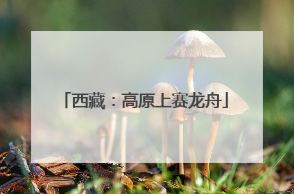 西藏：高原上赛龙舟
