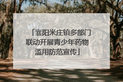 襄阳米庄镇多部门联动开展青少年药物滥用防范宣传
