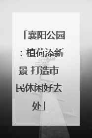 襄阳公园：植荷添新景 打造市民休闲好去处