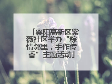 襄阳高新区紫薇社区举办“粽情邻里，手作传香”主题活动