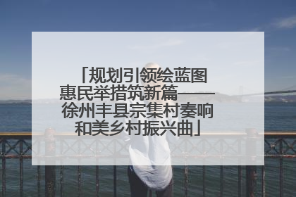 规划引领绘蓝图 惠民举措筑新篇——徐州丰县宗集村奏响和美乡村振兴曲