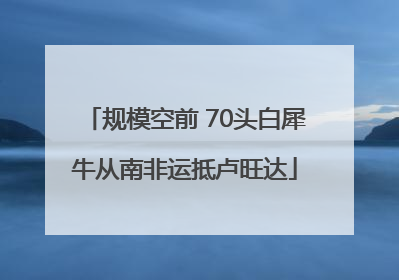 规模空前 70头白犀牛从南非运抵卢旺达