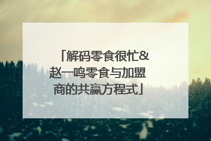 解码零食很忙&赵一鸣零食与加盟商的共赢方程式