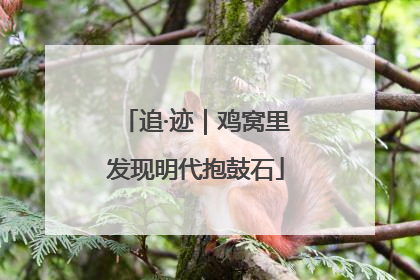追·迹｜鸡窝里发现明代抱鼓石
