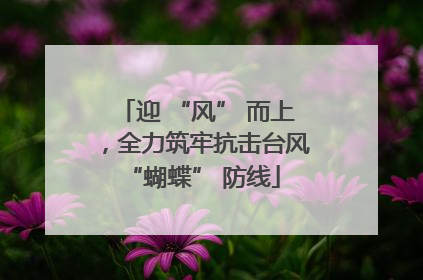 迎 “风” 而上，全力筑牢抗击台风 “蝴蝶” 防线