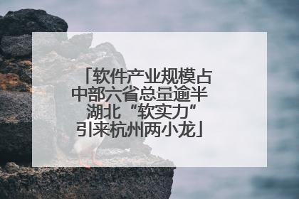 软件产业规模占中部六省总量逾半 湖北“软实力”引来杭州两小龙